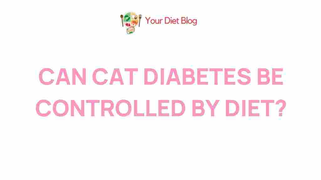 feline-diabetes-diet