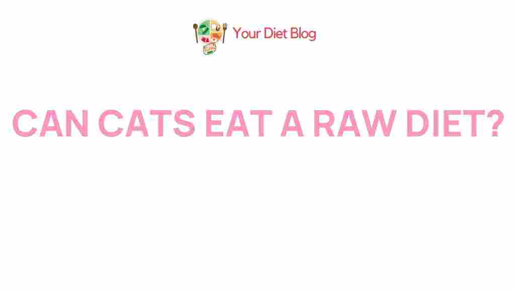 raw-diet-for-cats