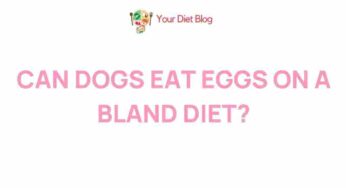 Unveiling the Surprising Benefits of Including Eggs in Your Dog’s Diet