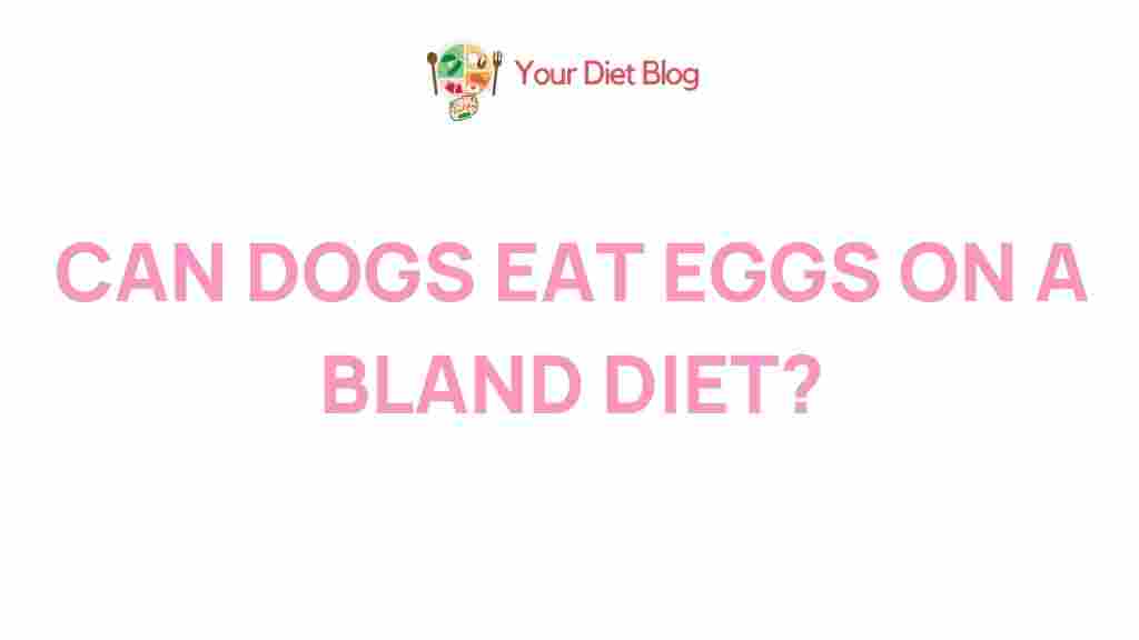 dog-diet-eggs-benefits