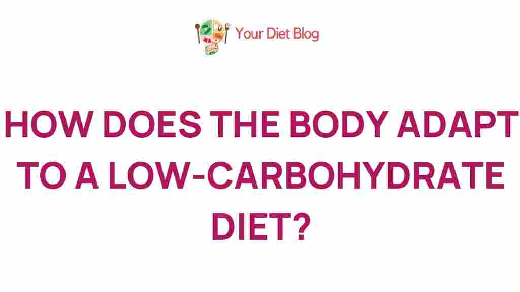 low-carb-diet-body-adaptation