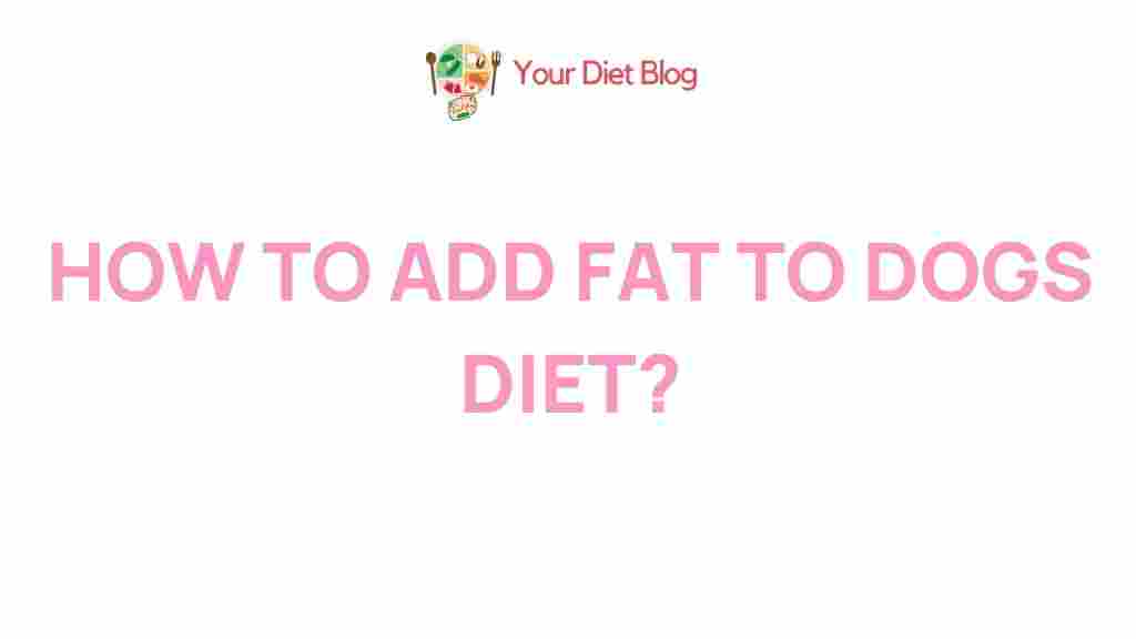 dog-diet-healthy-fats