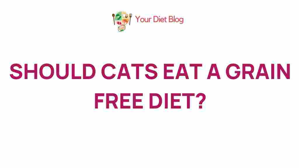 grain-free-diet-cats