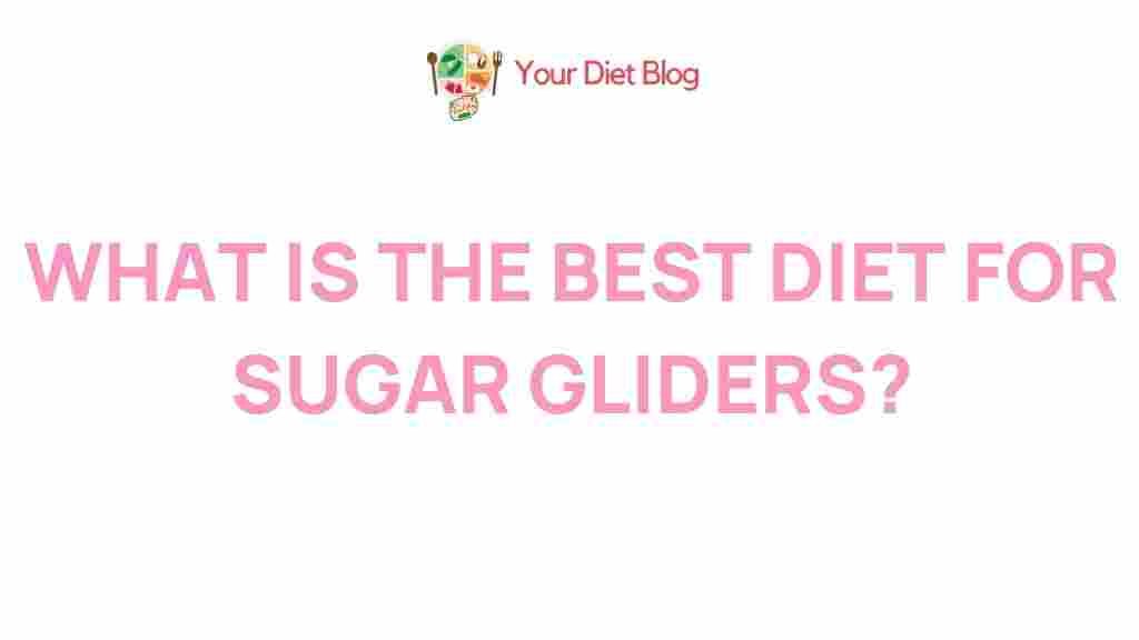 best-diet-for-sugar-gliders