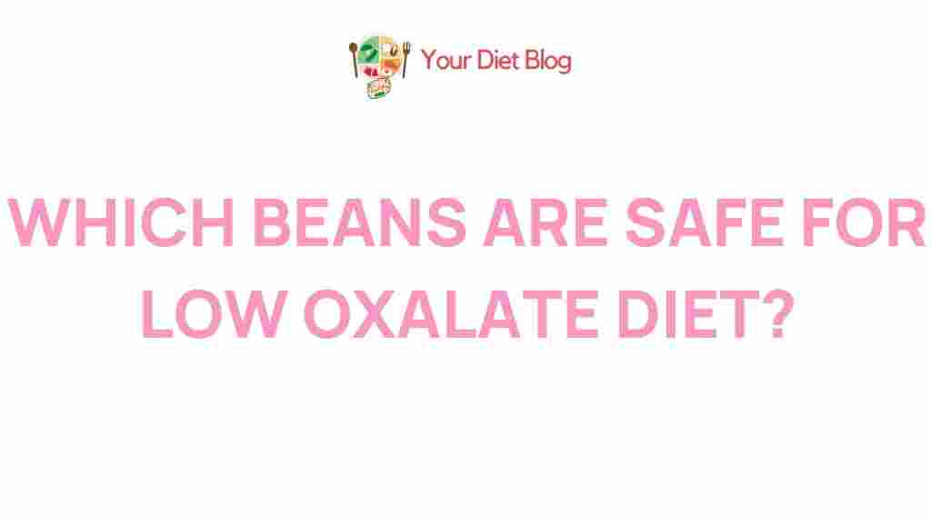 best-beans-low-oxalate-diet