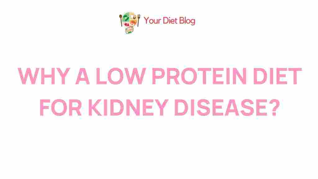 kidney-disease-low-protein-diet