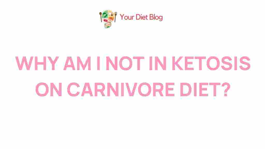 carnivore-diet-ketosis-mystery