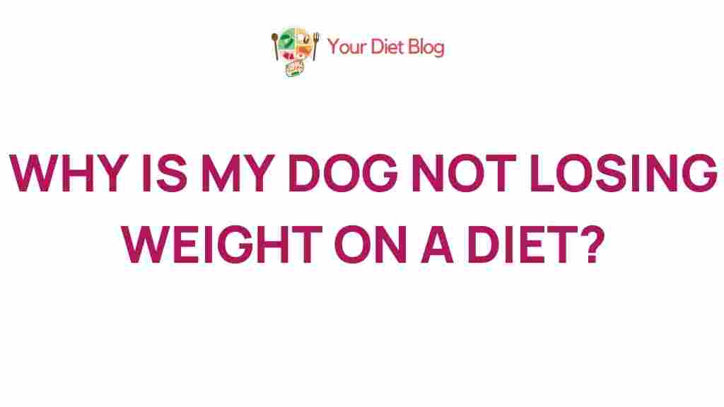 dog-weight-loss-diet