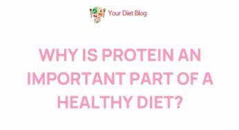 Unveiling the Power of Protein: Key Benefits and Myths Exposed