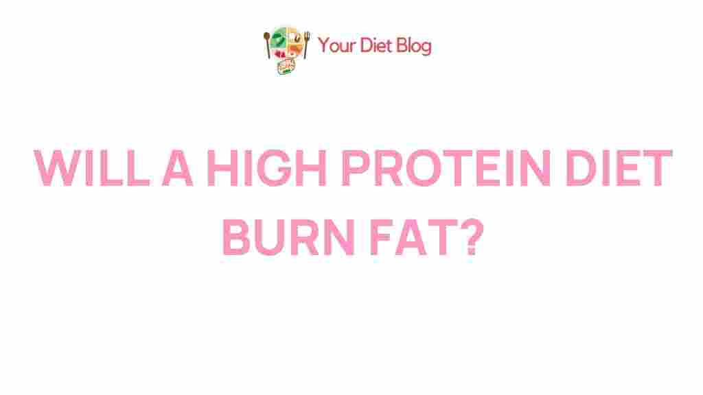 high-protein-diet-for-fat-burning