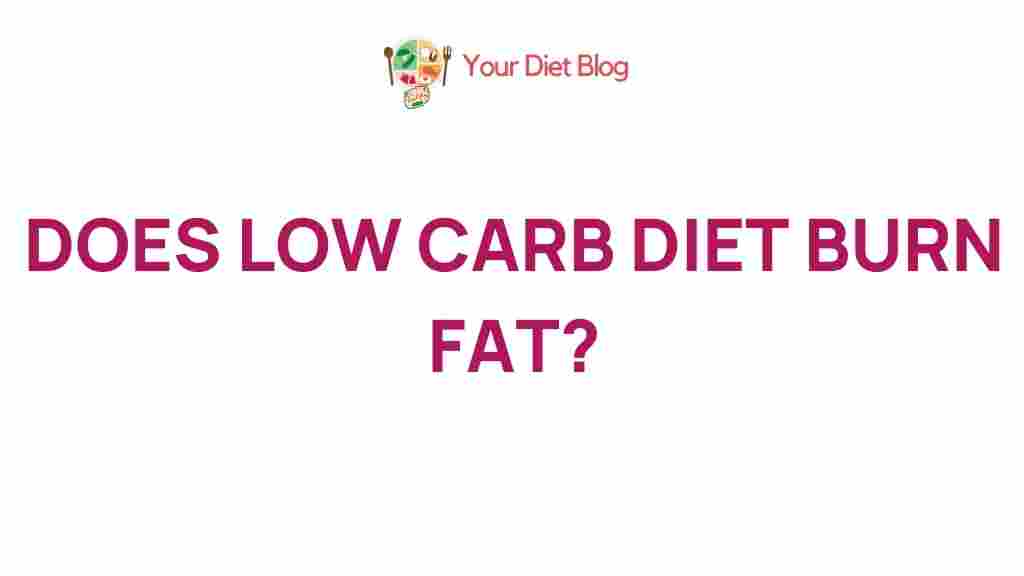 low-carb-diet-fat-burning